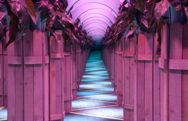 The Mirror Maize in Branson, Missouri