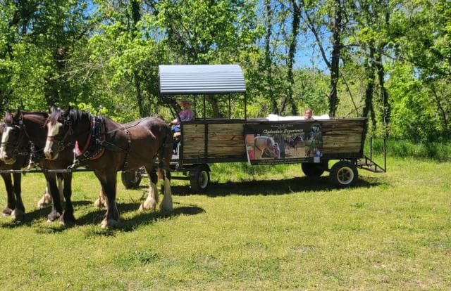 The Clydesdale Experience in Branson, Missouri