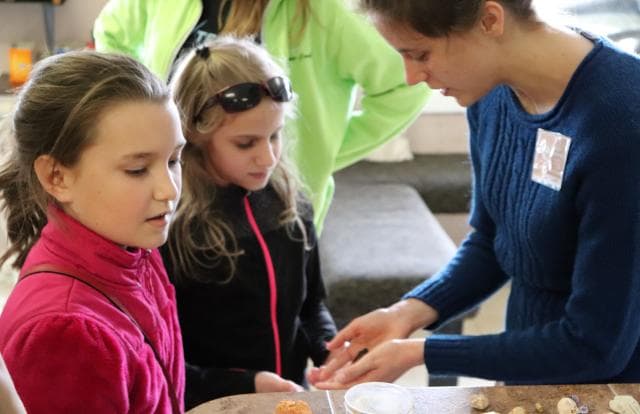 Creation Experience Museum in Branson, Missouri